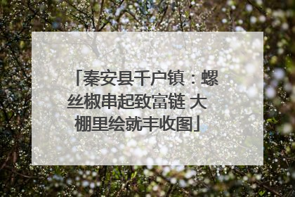 秦安县千户镇：螺丝椒串起致富链 大棚里绘就丰收图