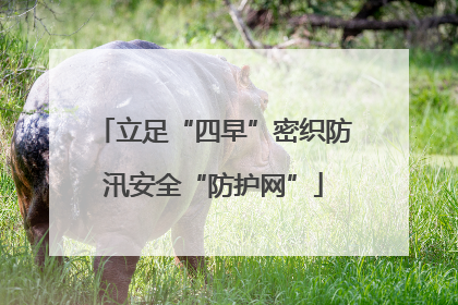 立足“四早”密织防汛安全“防护网”