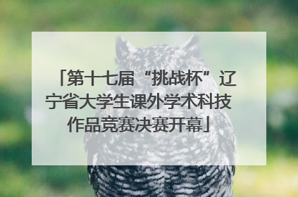 第十七届“挑战杯”辽宁省大学生课外学术科技作品竞赛决赛开幕