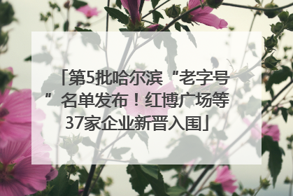 第5批哈尔滨“老字号”名单发布！红博广场等37家企业新晋入围