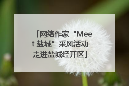 网络作家“Meet 盐城”采风活动走进盐城经开区