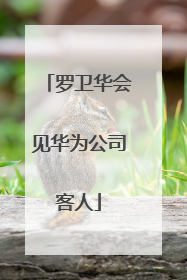罗卫华会见华为公司客人