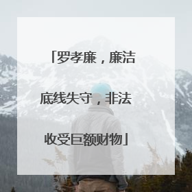 罗孝廉，廉洁底线失守，非法收受巨额财物