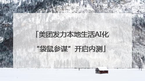 美团发力本地生活AI化 “袋鼠参谋”开启内测