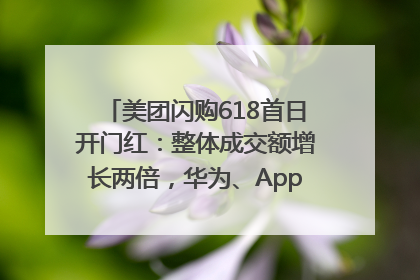 美团闪购618首日开门红：整体成交额增长两倍，华为、Apple、沃尔玛等近800个品牌翻倍增长