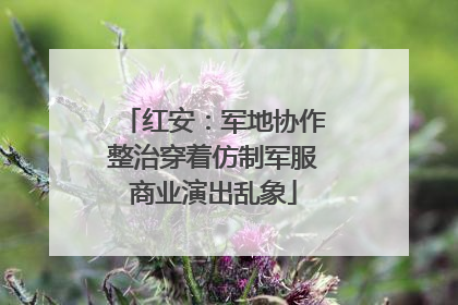 红安：军地协作整治穿着仿制军服商业演出乱象