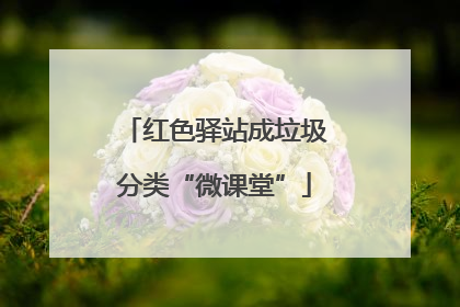 红色驿站成垃圾分类“微课堂”