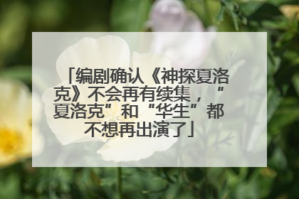 编剧确认《神探夏洛克》不会再有续集，“夏洛克”和“华生”都不想再出演了