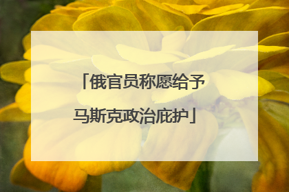 俄官员称愿给予马斯克政治庇护