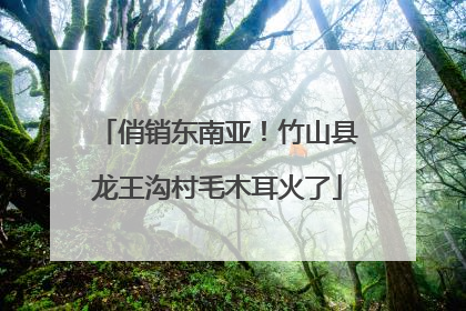 俏销东南亚！竹山县龙王沟村毛木耳火了