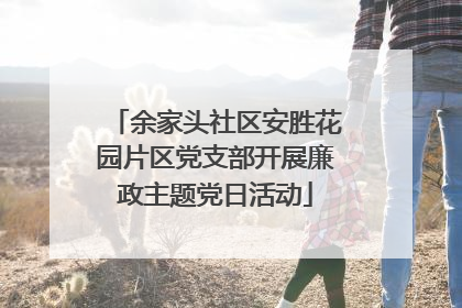 余家头社区安胜花园片区党支部开展廉政主题党日活动