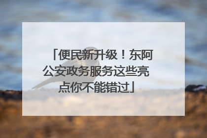 便民新升级！东阿公安政务服务这些亮点你不能错过
