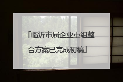 临沂市属企业重组整合方案已完成初稿