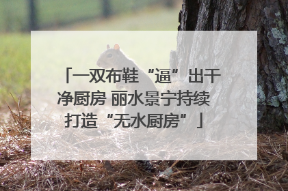 一双布鞋“逼”出干净厨房 丽水景宁持续打造“无水厨房”
