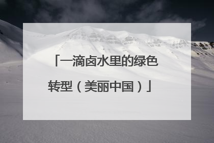一滴卤水里的绿色转型（美丽中国）