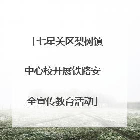七星关区梨树镇中心校开展铁路安全宣传教育活动