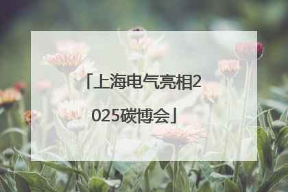 上海电气亮相2025碳博会