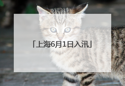 上海6月1日入汛