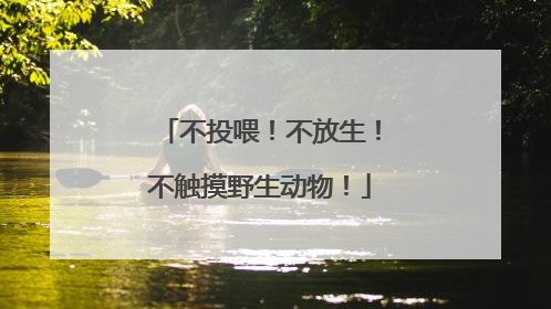 不投喂！不放生！不触摸野生动物！