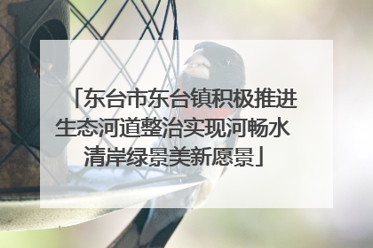 东台市东台镇积极推进生态河道整治实现河畅水清岸绿景美新愿景