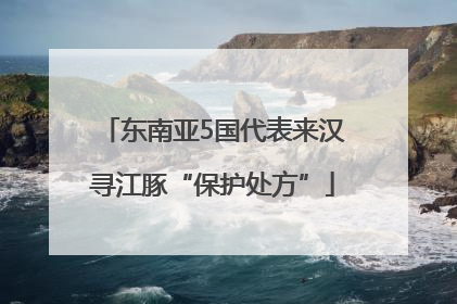 东南亚5国代表来汉寻江豚“保护处方”