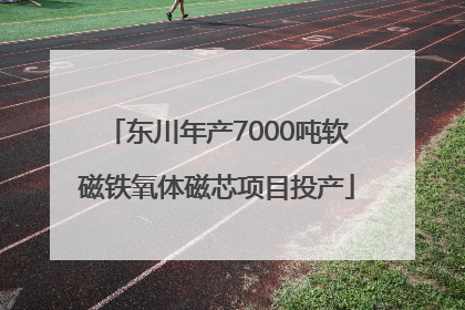 东川年产7000吨软磁铁氧体磁芯项目投产