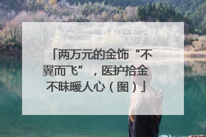 两万元的金饰“不翼而飞”，医护拾金不昧暖人心（图）