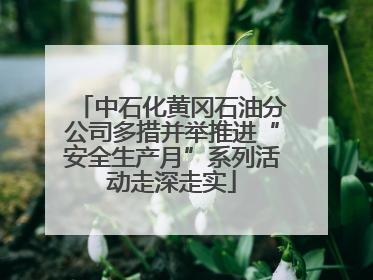 中石化黄冈石油分公司多措并举推进“安全生产月”系列活动走深走实