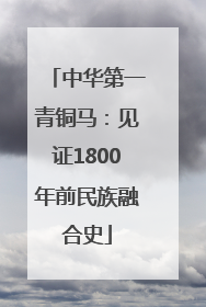 中华第一青铜马：见证1800年前民族融合史
