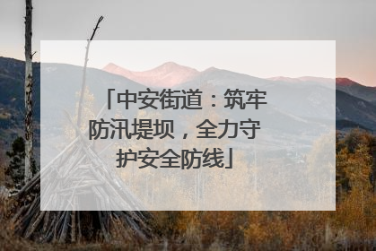 中安街道：筑牢防汛堤坝，全力守护安全防线