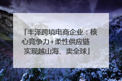 丰泽跨境电商企业：核心竞争力+柔性供应链 实现越山海、卖全球