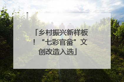 乡村振兴新样板！“七彩官畲”文创改造入选
