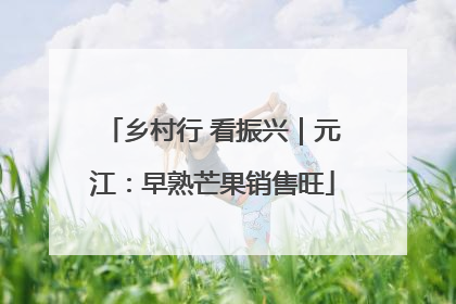 乡村行 看振兴｜元江：早熟芒果销售旺