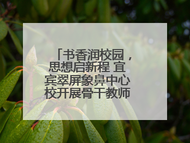 书香润校园，思想启新程 宜宾翠屏象鼻中心校开展骨干教师读书分享活动