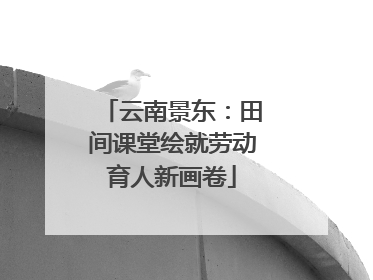 云南景东：田间课堂绘就劳动育人新画卷