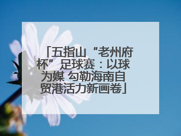五指山“老州府杯”足球赛：以球为媒 勾勒海南自贸港活力新画卷