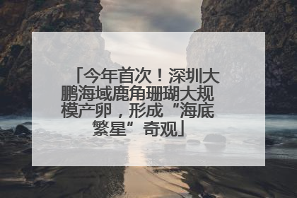 今年首次！深圳大鹏海域鹿角珊瑚大规模产卵，形成“海底繁星”奇观