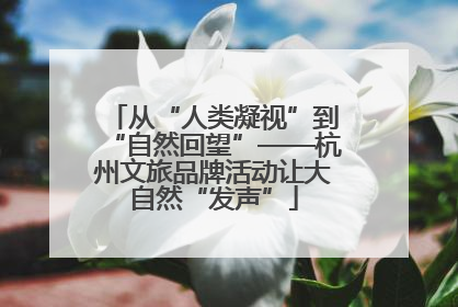 从“人类凝视”到“自然回望”——杭州文旅品牌活动让大自然“发声”