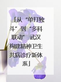 从“单打独斗”到“多科联动” 武汉构建精神卫生共病诊疗新体系