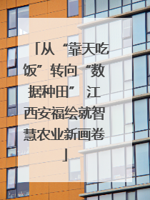 从“靠天吃饭”转向“数据种田” 江西安福绘就智慧农业新画卷