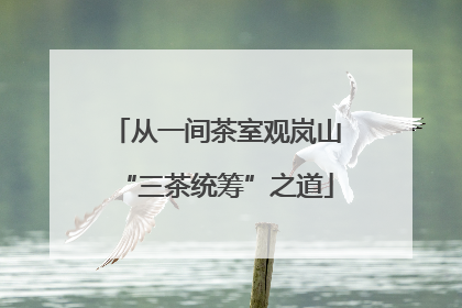 从一间茶室观岚山“三茶统筹”之道