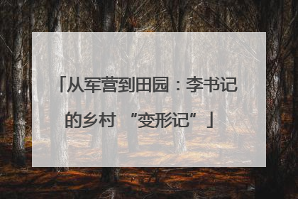 从军营到田园：李书记的乡村 “变形记”