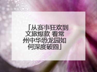 从赛事狂欢到文旅爆款 看常州中华恐龙园如何深度破圈