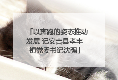 以奔跑的姿态推动发展 记安吉县孝丰镇党委书记沈强