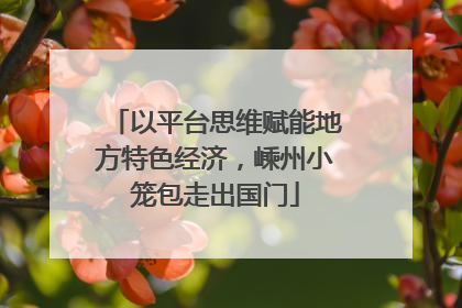 以平台思维赋能地方特色经济，嵊州小笼包走出国门