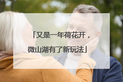 又是一年荷花开，微山湖有了新玩法