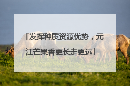 发挥种质资源优势，元江芒果香更长走更远