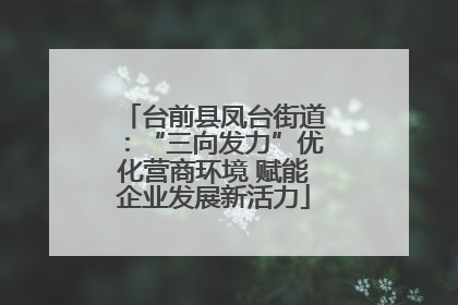 台前县凤台街道：“三向发力”优化营商环境 赋能企业发展新活力
