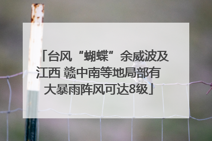 台风“蝴蝶”余威波及江西 赣中南等地局部有大暴雨阵风可达8级