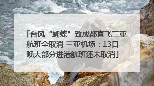 台风“蝴蝶”致成都直飞三亚航班全取消 三亚机场：13日晚大部分进港航班还未取消